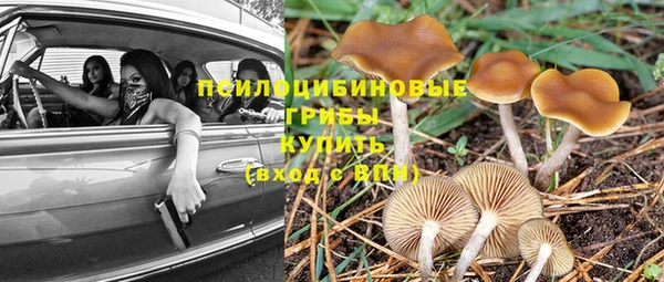 таблы Надым