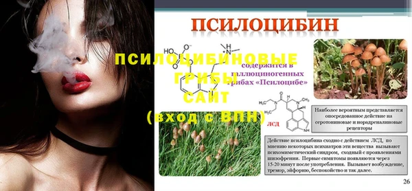 таблы Надым