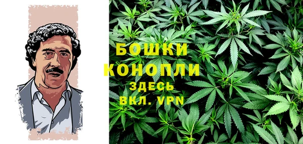 прущая мука Нея